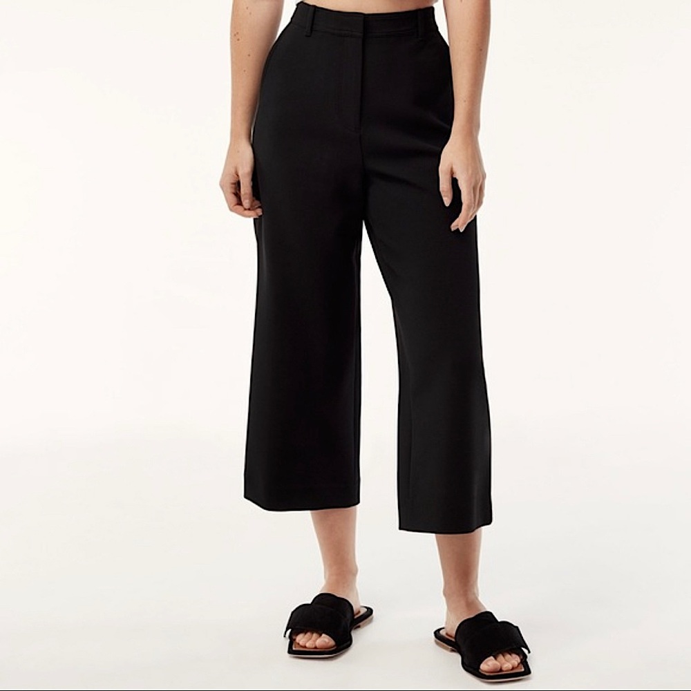 NWOT Aritzia Babaton dress pants